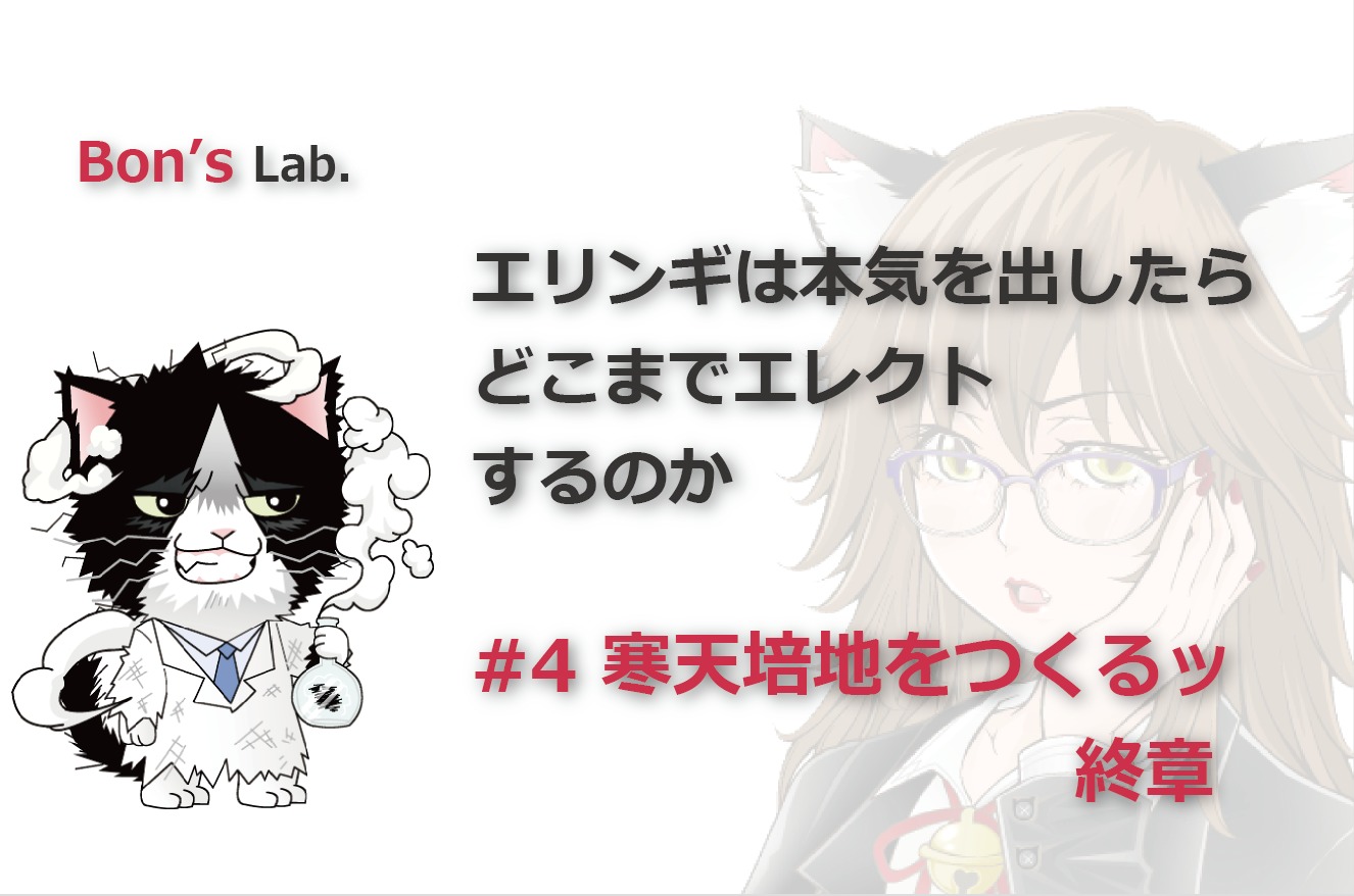 004｜エリンギは本気を出したらどこまでエレクトするのか｜栽培｜培養 きのこ栽培 開発 廃菌床