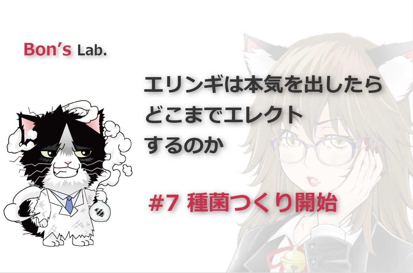 007｜エリンギは本気を出したらどこまでエレクトするのか｜栽培｜培養 きのこ栽培 開発 廃菌床