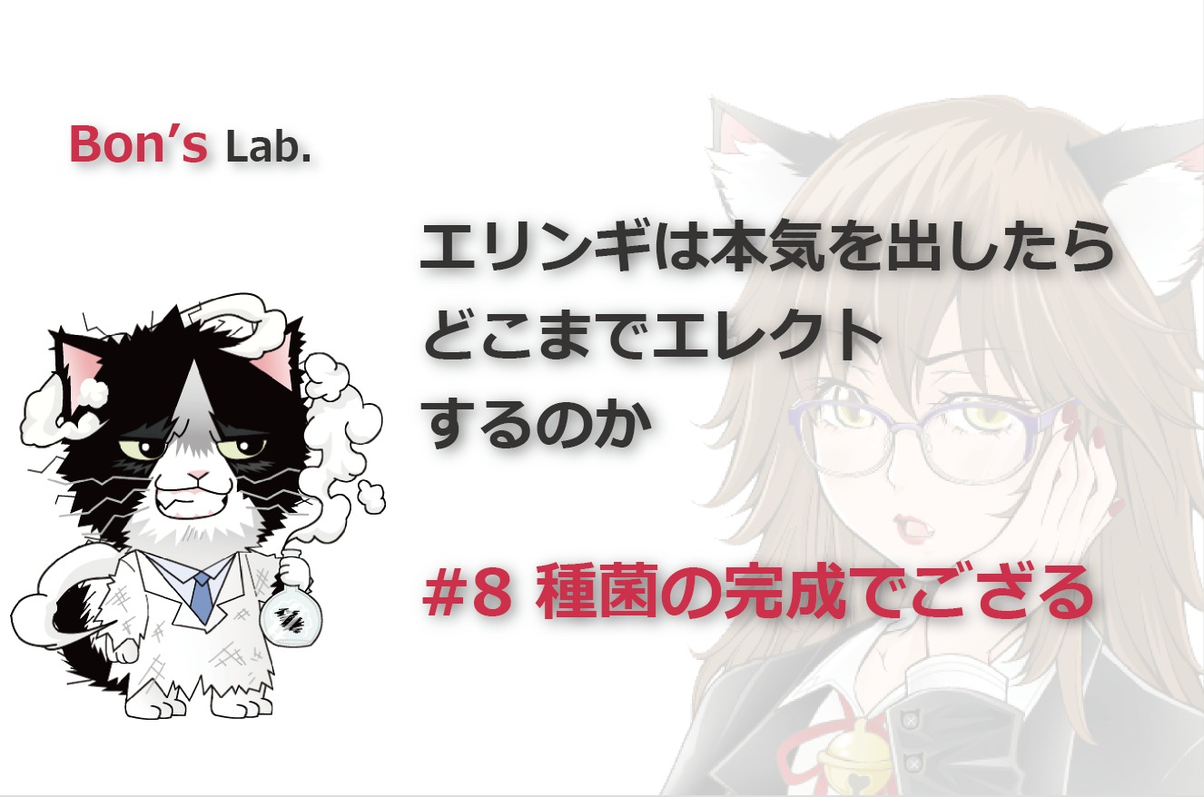 008｜エリンギは本気を出したらどこまでエレクトするのか｜栽培｜培養｜種菌 きのこ栽培 開発 廃菌床